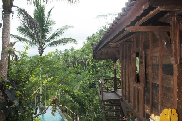 Hotel DD Ubud Villa